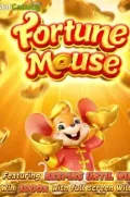 Fortune Mousse en MXG77 COM